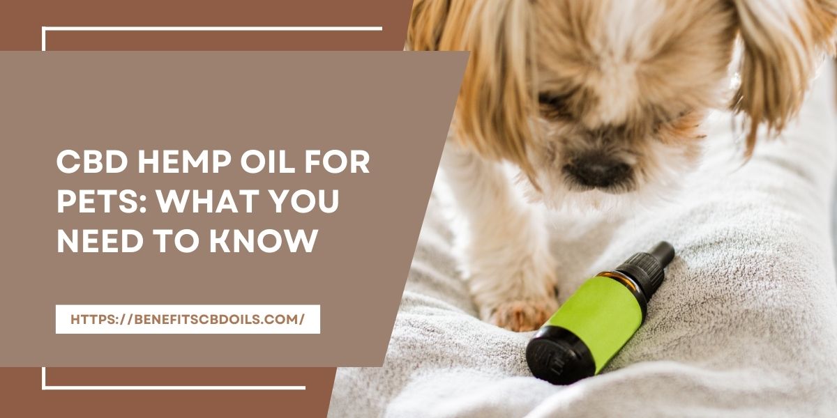 CBD Hemp Oil For Pets: What You Need To Know
