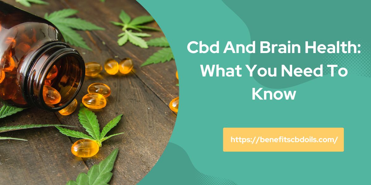 CBD And Brain Health: What You Need To Know