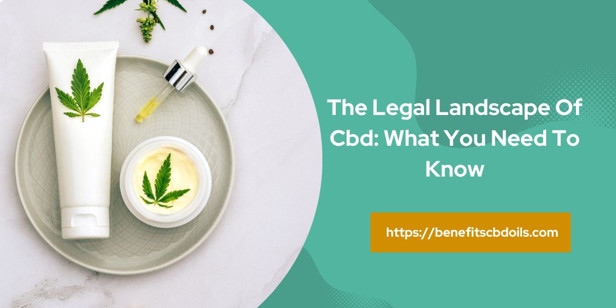The Legal Landscape Of CBD: What You Need To Know